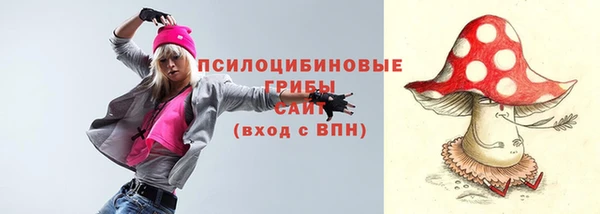 прущие крисы Протвино