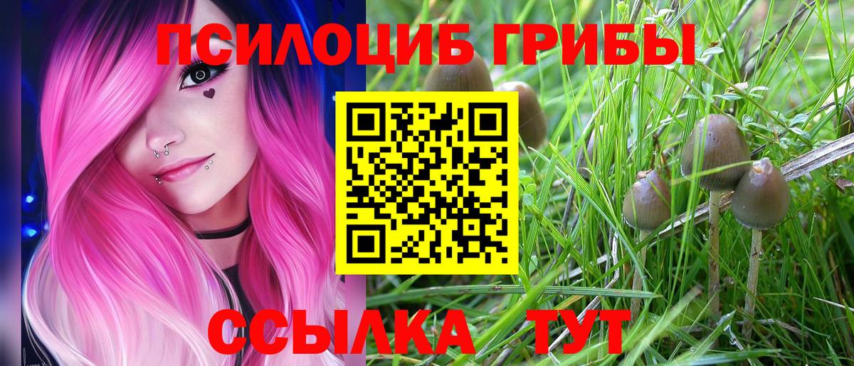 Галлюциногенные грибы прущие грибы Краснодар