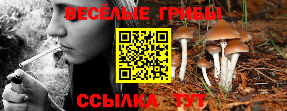 Краснодар  Псилоцибиновые грибы MAGIC MUSHROOMS  Галлюциногенные грибы ЛСД  Вход с VPN 